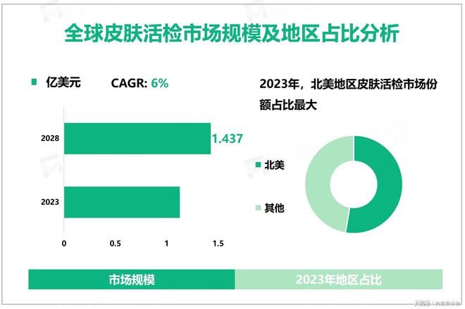 皮肤活检发展现状：2024年全球市场规模